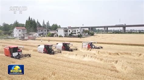 麦收进度过三成 “三夏”大规模小麦机收全面展开