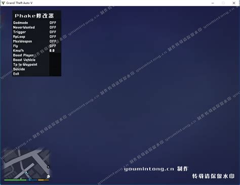 《侠盗飞车5（GTA5）》PC版安装视频放出 玩家：你蒙谁呢？ _ 游民星空 GamerSky.com