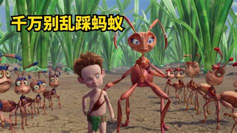昆虫总动员-蚂蚁大战3