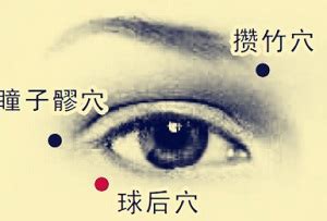 球后的准确位置图图片