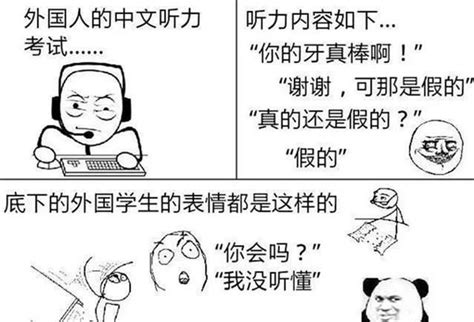 reddit上学习中文的外国网友用梗图吐槽：学中文真的好快乐！