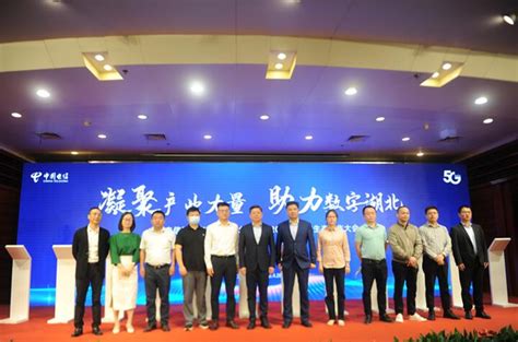 中国电信成立湖北“数字生态合作联盟”-新华网