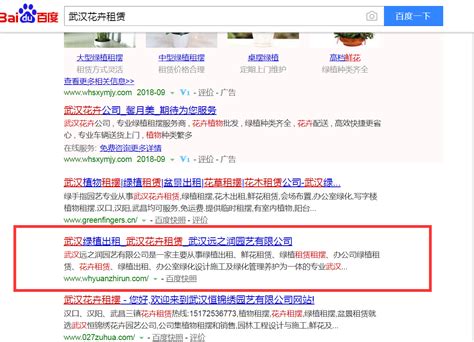 公司网站seo基础优化（SEO优化的方式）-8848SEO