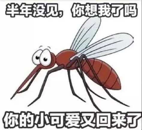 为什么被蚊子叮的总是你？_舒城县人民政府