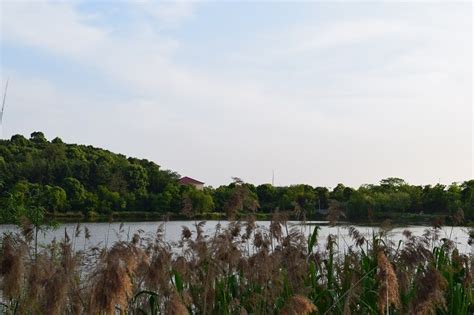 有生活 | 温岭的小西湖九龙湖生态湿地公园