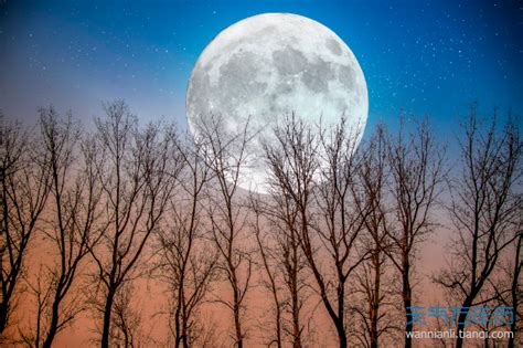 描写月亮的诗句 有关月亮的诗词赏析_万年历