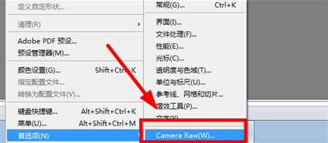camera raw怎么打开多个raw文件（camera raw怎么打开）_51房产网