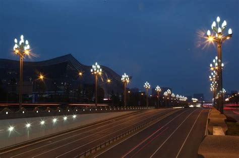 安徽六安寿县户外道路灯生产厂家LED八叉九火8-12米玉兰灯定制价格-一步电子网