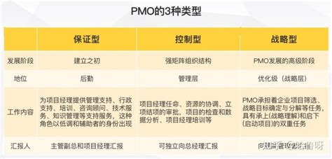 PMO与项目经理（PM）有什么区别？这又和PMP证书有何联系？_项目经理和pmo的区别-CSDN博客