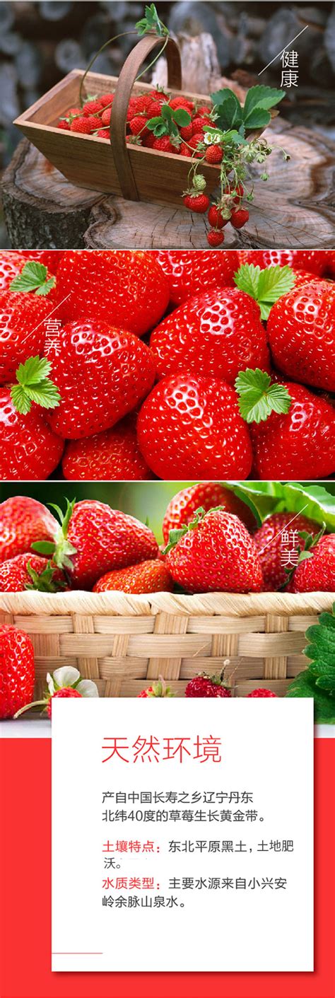 每天水果优选丹东红颜99新鲜草莓个大颜正 香甜多汁直击味蕾空运-淘宝网