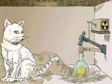 薛定谔的猫比喻什么 薛定谔的猫是什么意思通俗解释_见多识广_海峡网