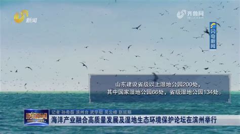 山东卫视《晚间新闻》：海洋产业融合高质量发展及湿地生态环境保护论坛在滨州举行 20230921 _www.isenlin.cn