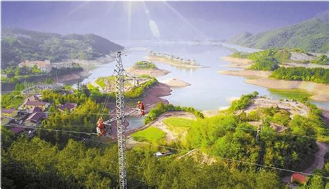 大力发展绿色能源，助推丽水打造中国“碳中和”先行区样板