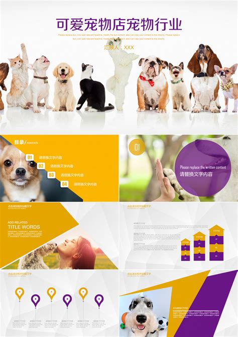 2023宠物行业蓝皮书：2023宠物行业发展报告（简版）-亚宠研究院 | 先导研报