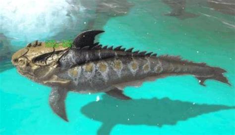 史上最早的海洋霸主邓氏鱼，能一口咬断鲨鱼(长11米) - 神奇生物 - 去看奇闻
