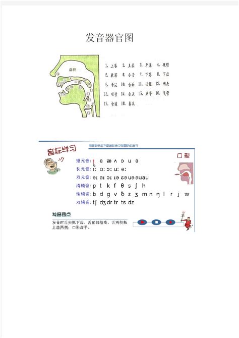 国际音标发音舌位图 ,舌面元音舌位图上标注的音标都是怎么发音的 - 英语复习网