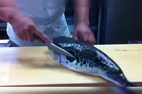 第一视角带你观看日本大厨的活杀河豚教学