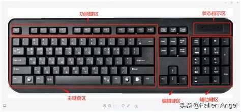 键盘常用15个功能键（电脑键盘上各个按键的作用及一些常用的快捷键 ）_斜杠青年工作室