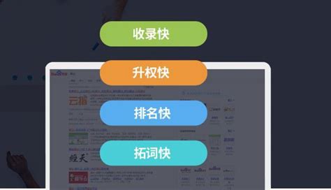 SEO新手必学：充分了解搜索引擎盈利模式