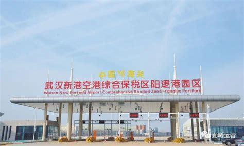 上海物流公司 武汉新港阳逻保税园区领导莅临我司指导工作