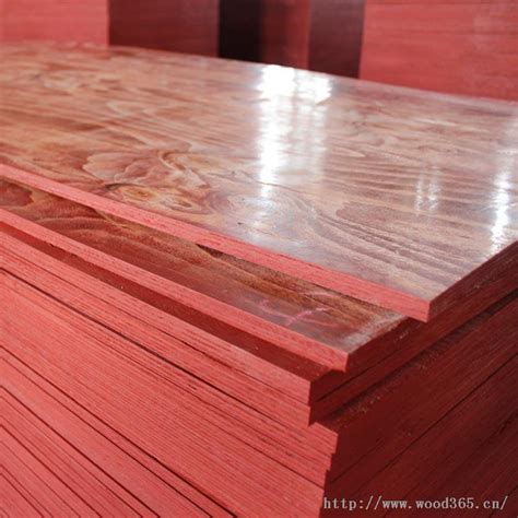 江西建筑模板批发 、 全一级建筑模板价格 江西松木模板 江西桉木模板-洪门木业