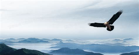 翱翔云层上的民用飞机摄影高清jpg图片免费下载_编号1peh8dm4z_图精灵
