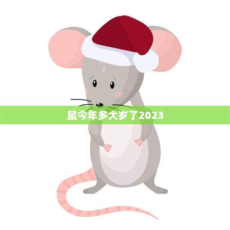 鼠今年多大岁了2023(揭秘鼠年生肖年龄计算法) - 星辰运势