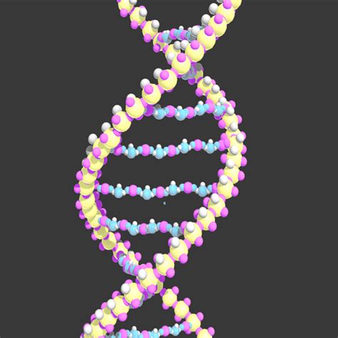 人体基因DNA模型双螺旋 科技小制作diy生物科学实验器材科普教具-阿里巴巴