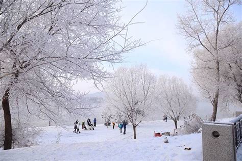 一个女人在雪地里行走高清图片下载-正版图片507343372-摄图网