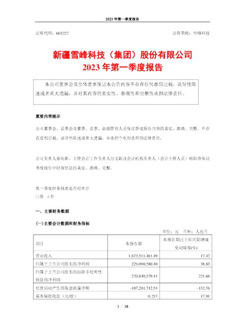 新疆雪峰科技（集团）股份有限公司 - 企查查