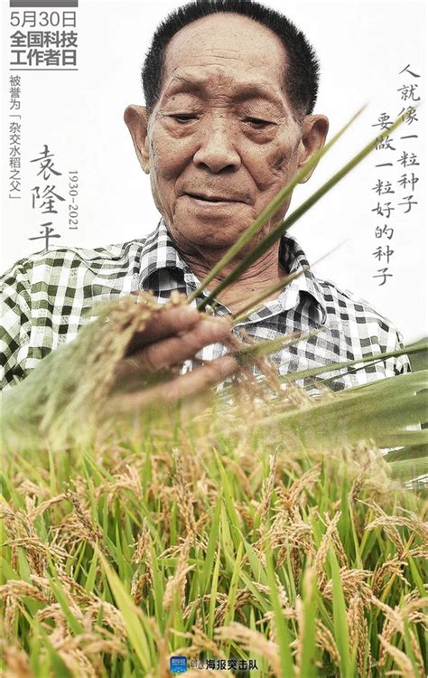 国际首次！空间站种出的水稻种子回家啦_河北日报客户端