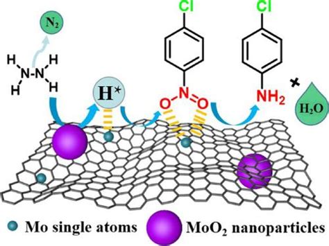 确定 MoO2 纳米催化剂中 Mo 单原子组分在转移氢化中的贡献,Nano Research - X-MOL