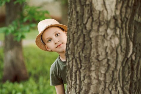 森林里站在树上的男孩高清图片下载-正版图片501871758-摄图网