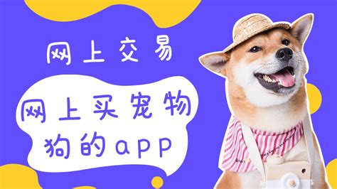 网上买宠物狗的app-2020在网上买宠物狗的软件合集 - 比克尔下载