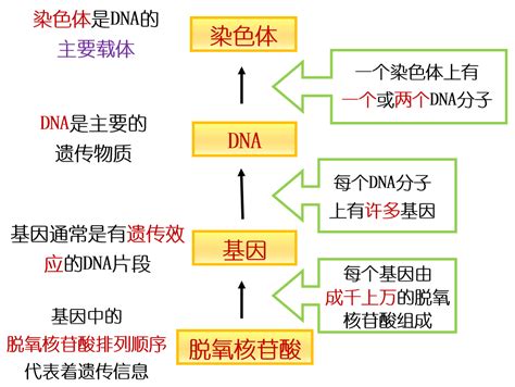 【分子】DNA的提取与检测（下）——质粒DNA - 知乎