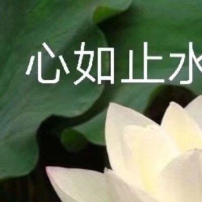 非主流家长头像