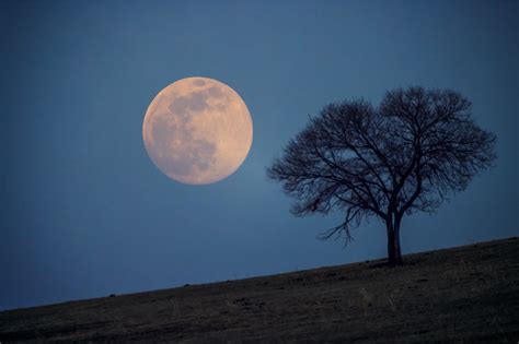 夜空中最美唯美月亮图片 中秋月的漂亮图片_万年历