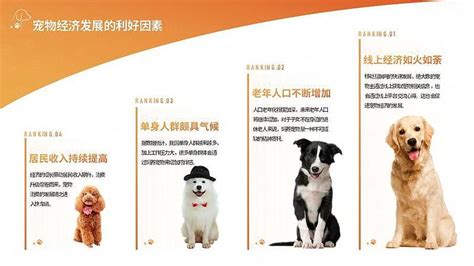 普华永道：2022年中国宠物行业报告（附下载） | 互联网数据资讯网-199IT | 中文互联网数据研究资讯中心-199IT