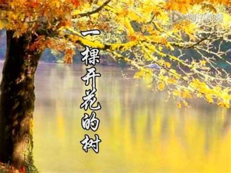 科学网—一棵开花的树 - 刘旭霞的博文