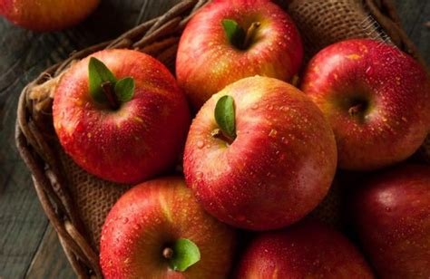 每天早上吃一个苹果，坚持半个月以后，身体可以得到改善吗？-京东健康