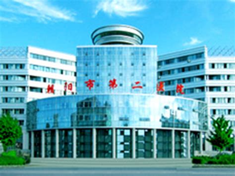 包含朝阳医院黄牛预约挂号解惑说到必须做到的词条