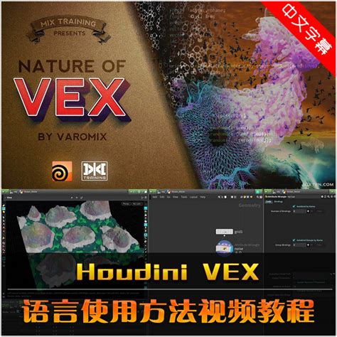 Houdini中VEX语言使用方法视频教程基础语法高级特效制作中文字幕-淘宝网