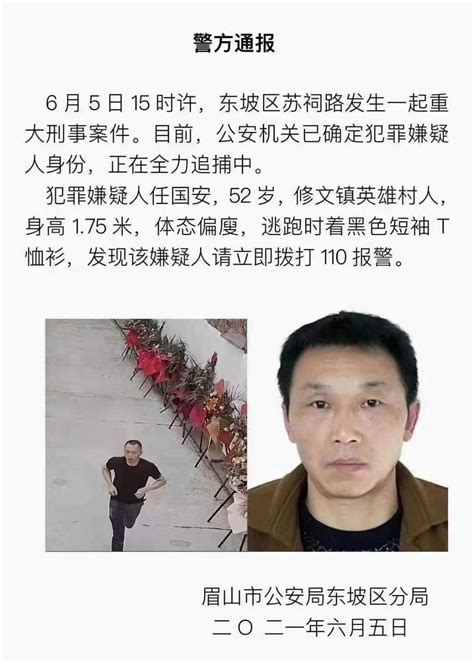 安庆致5死杀人案告破 嫌疑人被抓获