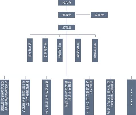 组织架构-陕西分布式能源股份有限公司