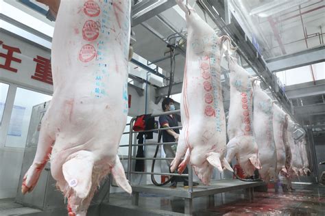 生猪屠宰 – 吉林华正农牧业开发股份有限公司