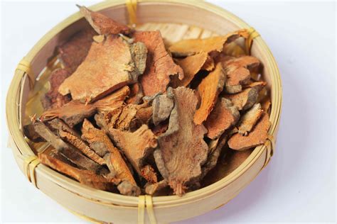 萆薢图片