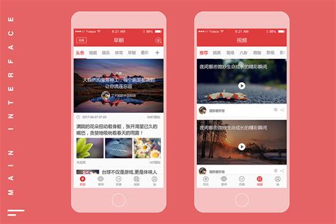 搜狐新闻下载2021安卓最新版_手机app官方版免费安装下载_豌豆荚