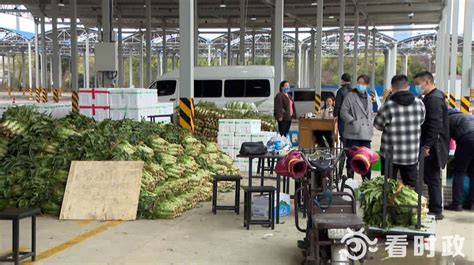 蜀道物流集团将在自贡打造川南国际农产品冷链加工物流示范枢纽|自贡市|农产品_新浪新闻