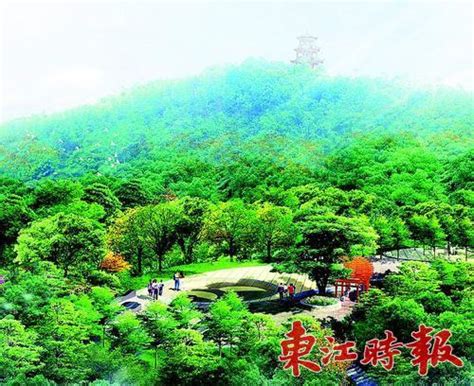 惠州沥林森林公园开建 规划建成5个功能区_房产资讯-惠州房天下