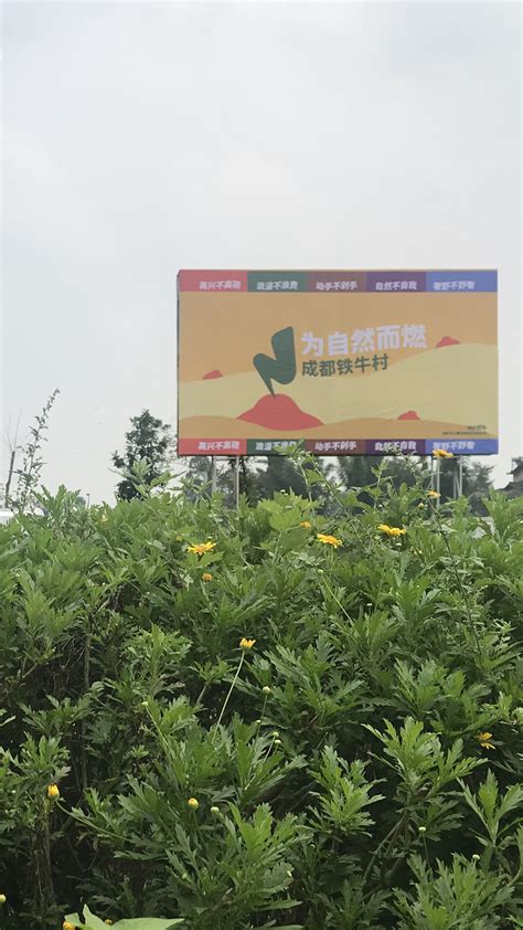 蒲江县：高标准规划多功能复合型“无边界”新型产业园区---四川日报电子版
